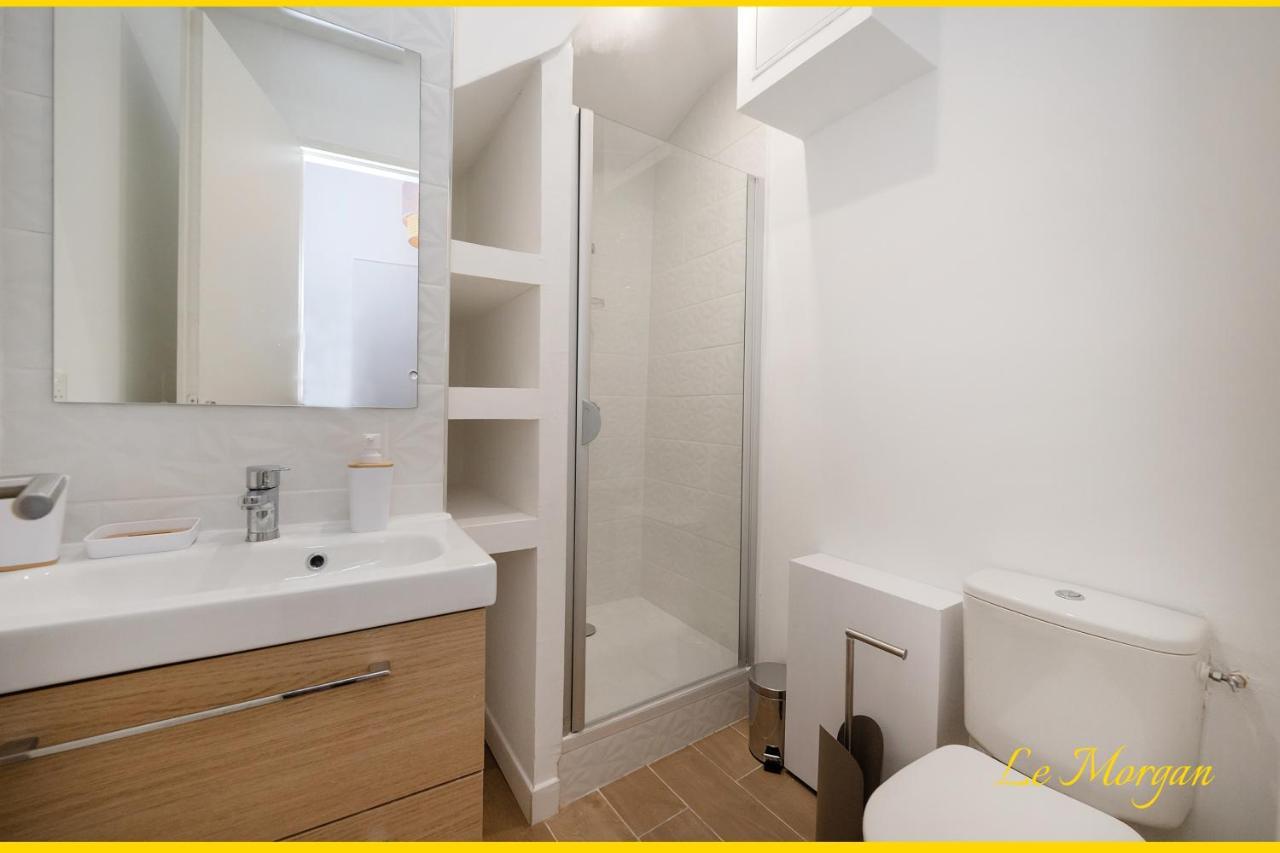 Le Morgan - Magnifique Appartement Cours Principal Plein Centre Avec Parking 普罗旺斯地区萨隆 外观 照片