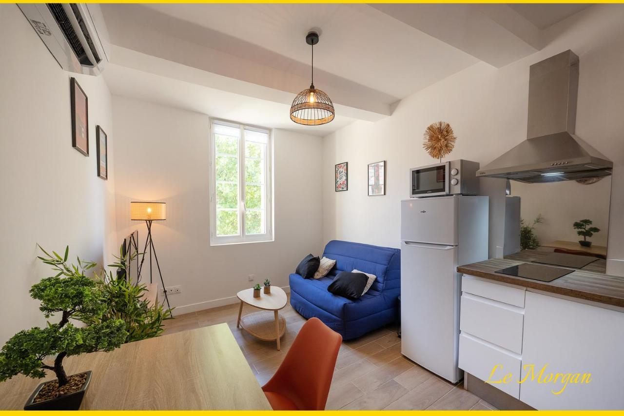Le Morgan - Magnifique Appartement Cours Principal Plein Centre Avec Parking 普罗旺斯地区萨隆 外观 照片