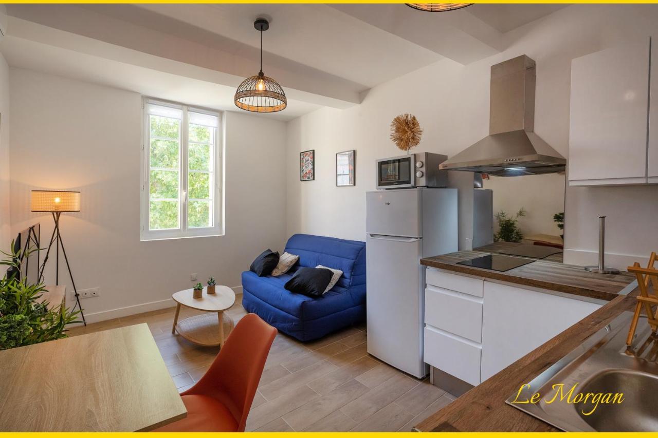 Le Morgan - Magnifique Appartement Cours Principal Plein Centre Avec Parking 普罗旺斯地区萨隆 外观 照片